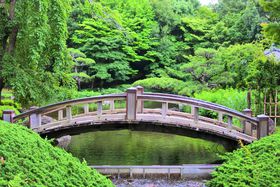 Bꂽ{뉀I_ސuˎsvŉ߂DȂЂƎ̋LTlC