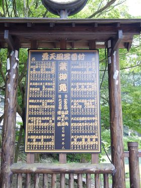 _̐^ɂSIVCԕtủjv򍻓ŎR𖞋i
̋LTlC