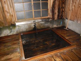 14��ނ̓��D������k�A���v�X���[���򗷊فI���̒��ł��K�������ė~�������D�x�X�g�S�I�I�̋L���T���l�C��