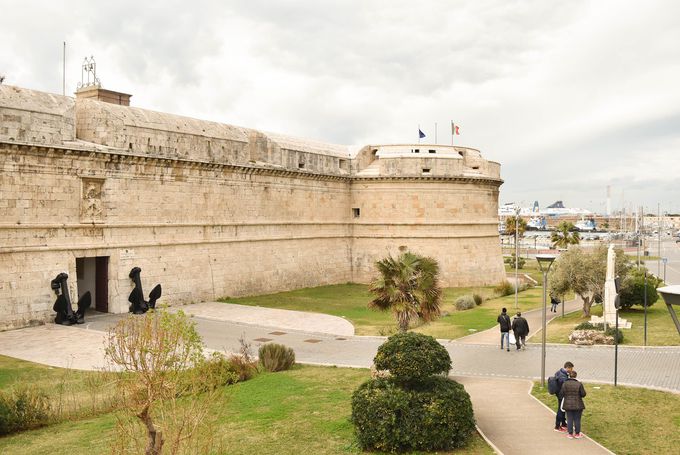 �|�p�ƃ~�P�����W�F�����݌v��������