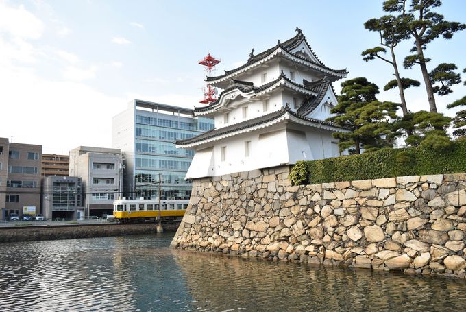 ������̔w��𑖂�u���Ƃł�v