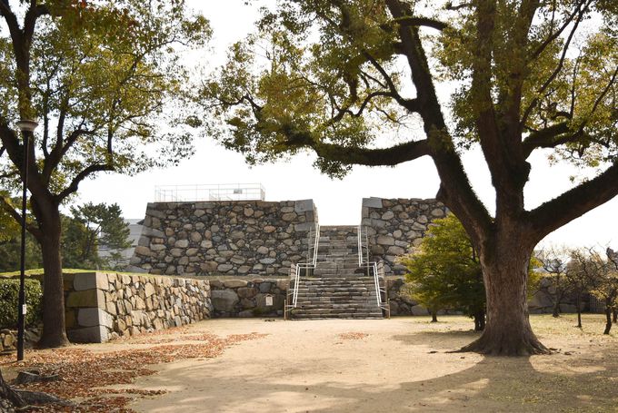 �a�l���������˓��C��]�ޓW�]�X�|�b�g�ցI