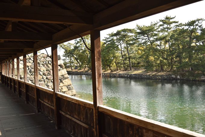 �����j�����x�Ə����؂��߂��Ŋy����