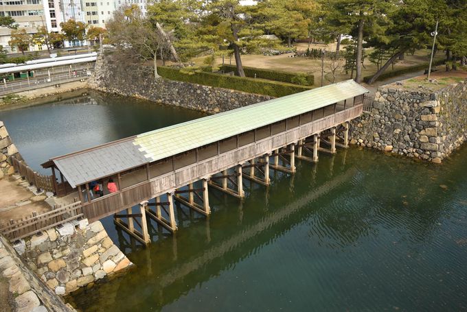 �a�l���������˓��C��]�ޓW�]�X�|�b�g�ցI