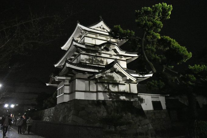 ���˓��C�̊C���𗁂тȂ��烉�C�g�A�b�v���y����