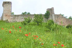 C^A̐nAbVWŒ]Q̃}bW[vǂƋsXŰLTlC