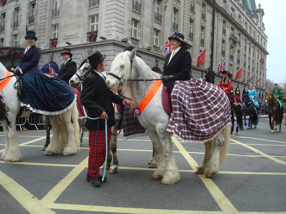 eY̑ԉ΂ŔNz@₩p[hŐVN̖J