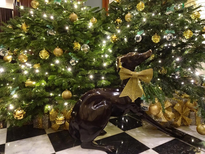 1{܂Ŋy߂C~@[WFgʂ̓}XgI