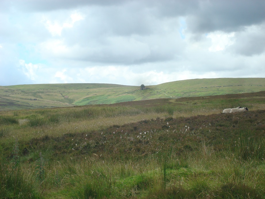 uuv̔wiƂȂAq[X̉ԍ炭rցI