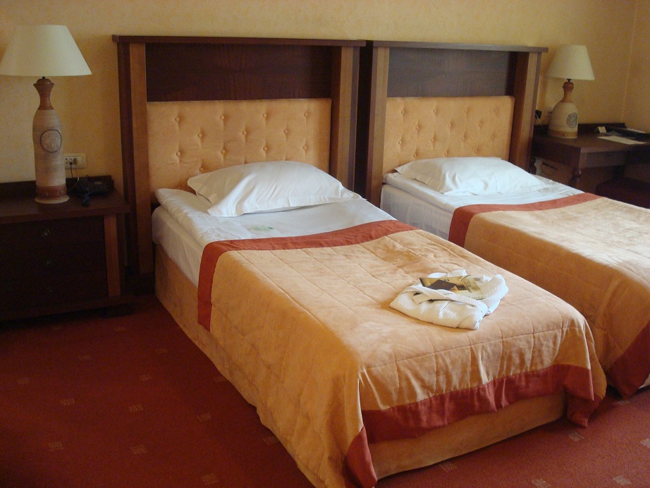 �G���K���X�Ƌ@�\�������˔������q���@�ՐÂȊ����}���I