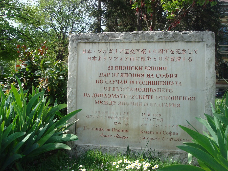 �ό��X�|�b�g���ڂ̃G���A�@���{���瑡��ꂽ�������������