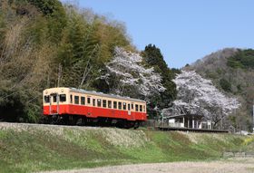 炫ւ郍[Jc[̎Rŏtࣖ𖞋iI`cB̋LTlC