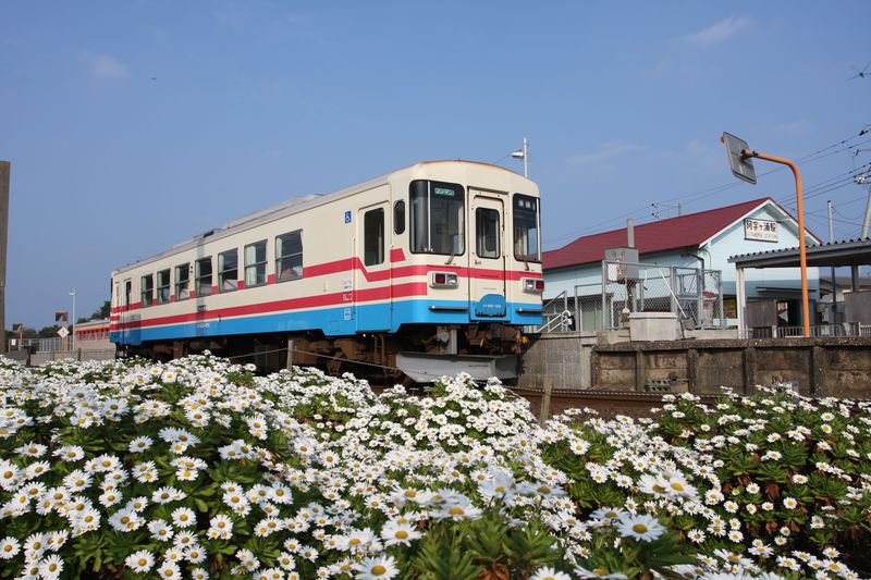 “走る劇場”に乗って茨城の自然を満喫〜ひたちなか海浜鉄道湊線乗り撮り歩き