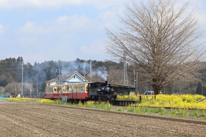 �̂ǂ��ȓc�����痢�R��