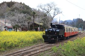 RgbRŖ[t̗ࣖ`cB̋LTlC