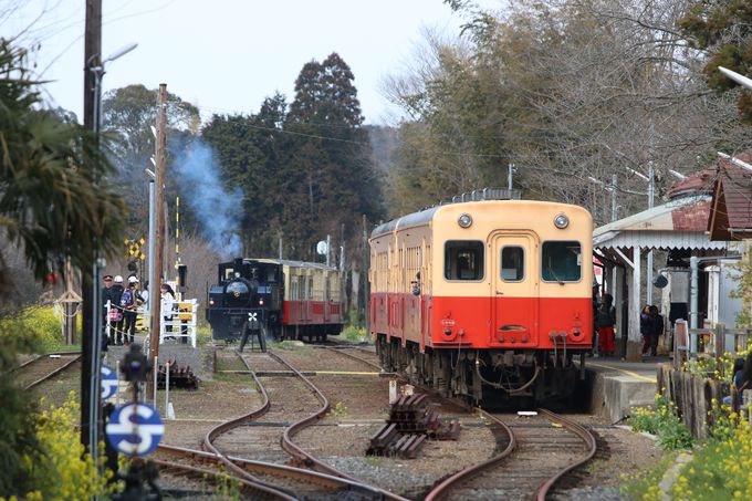 �̂ǂ��ȓc�����痢�R��