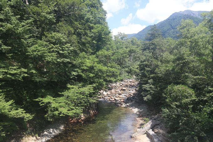 gl̒̃Owcywō~Ă݂悤I