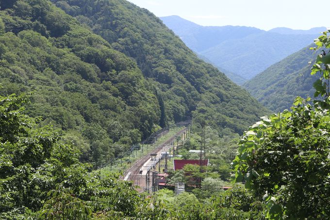 OwO֏oĂ݂Ɓcu̒glv͂