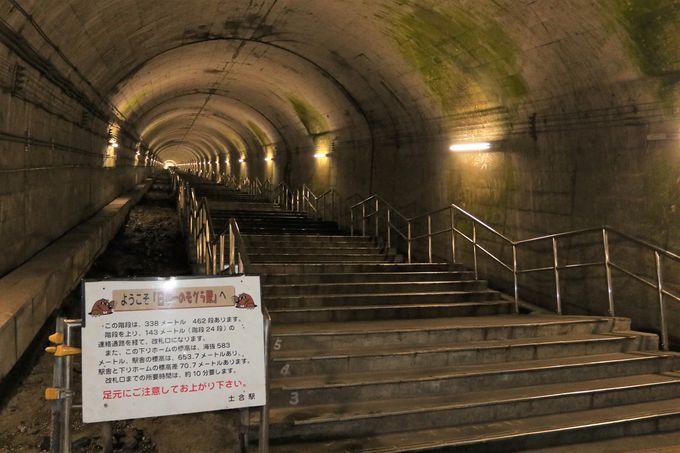 長大トンネルの中のモグラ駅…土合駅で降りてみよう！