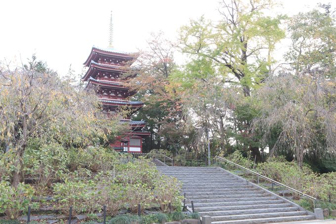 戦国時代の巨大城郭遺構…千葉県松戸市小金城趾を探索しよう