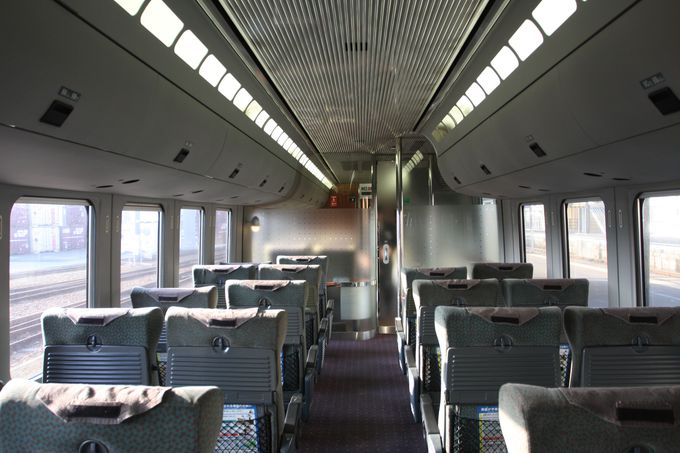 �o���͑啪���̍����s����`�v�`�ґ�Ȋe�w���