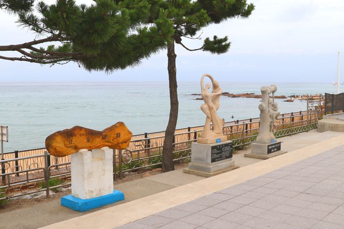 Éwɓ`܂̓z[U􂵂悤