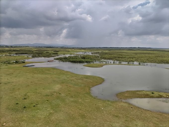 �܂��̓^�C�����̒��m�[���J�[�C��ڎw���āc