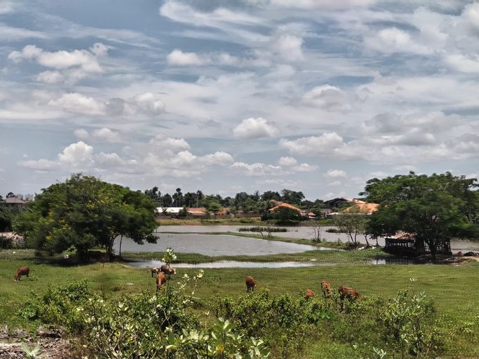 �J���T���[�g�w���ӂ̊y���ݕ��́c