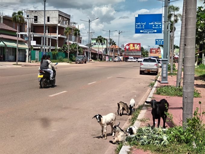 �J���T���[�g�w���ӂ̊y���ݕ��́c