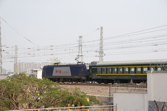 �R�x�S�H�E���������Ƃ�