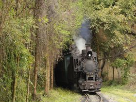 �����Ō�̏��Ύԁ`�l��ȁE�m�ΓS�H��T�K���悤�I