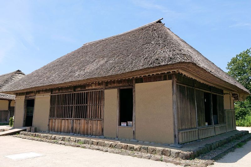 ネモフィラ コキア 古民家 国営ひたち海浜公園 で歴史探訪 茨城県 Lineトラベルjp 旅行ガイド