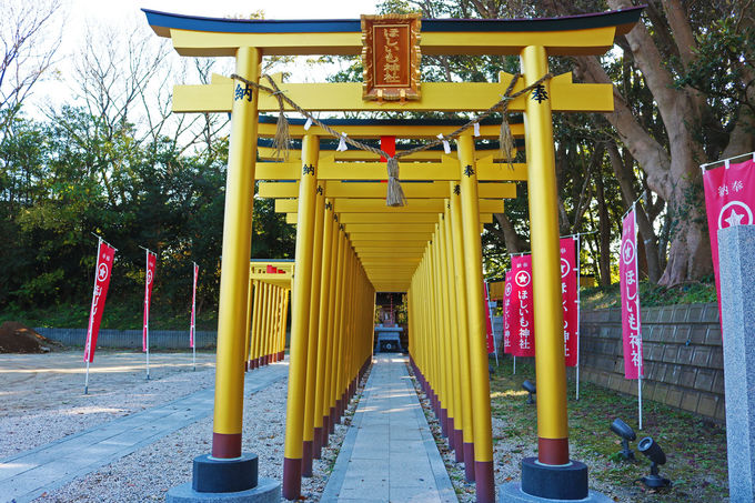 黄金色の鳥居！茨城「ほしいも神社」でホシイモノが手に入る！