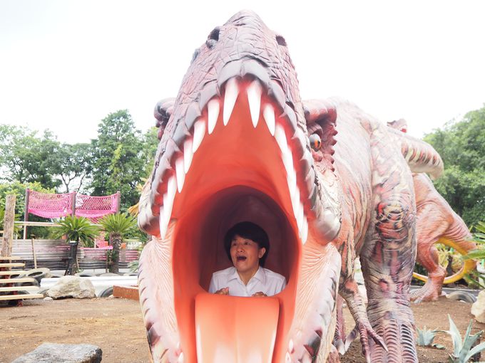 静岡 伊豆ぐらんぱる公園に大迫力の恐竜アトラクションが登場 静岡県 Lineトラベルjp 旅行ガイド