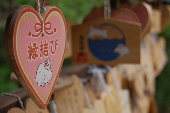 白うさぎが取り持つ日本最古のラブストーリー