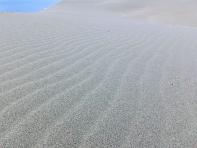 鳥取砂丘の風紋はプロじゃなくても撮れます