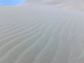 鳥取砂丘で砂と風の芸術「風紋」を見る！自然が織りなす神秘のデザイン