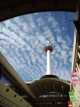 ���s�w����k�������̊ό��X�|�b�g�����ē��I�V�����̎��Ԃ܂ł��ƂP���ԁc�A�Ō�̍Ō�܂ŋ��s���i�I�̋L���T���l�C��