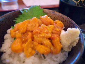 �ґ򐶃E�j�����v�`���i�ŋC�y�ɁI���̉w���Ƃ�E�V���G�g�N�̋L���T���l�C��