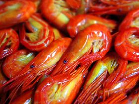 ukCV}GrvIĂƏH̕ʊC̐iŐLTlC