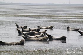 II1000~ŃAUVEHb`OEʊCόD̋LTlC