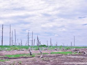 u̐̉ʂāvƌĂ΂ꏊEkCtgh̋LTlC