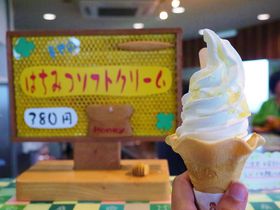 񂹃LOPʂ̃XC[ckCEJzŁI̋LTlC