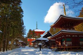 ����R�}�j�A�K���I��̉��̉@��m�炸���č���R�����Ȃ���I�̋L���T���l�C��