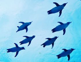 yMrrԁIE\㓇́uXv̋LTlC