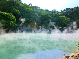 klqs30Ii̖kEtTőyނ̋LTlC