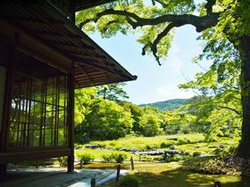 京都「伝統産業の日」は着物なら平安神宮も二条城も無料！