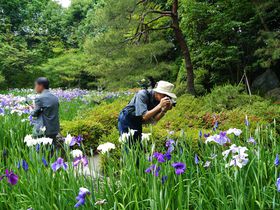 _{_̖J͔NQIŮJ͉ԏҊiniVEuj̋LTlC