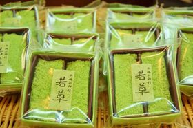 ���]���y�Y���X�g�E�s�����D�݂̏��]�̘a�َq�g���]�O����فh�̋L���T���l�C��