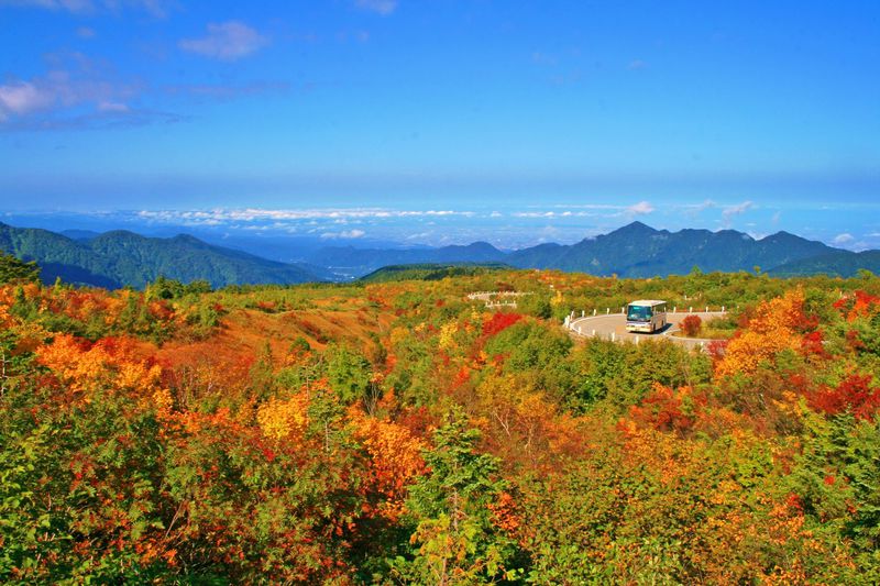 紅葉の“立山黒部アルペンルート”富山側日帰り往復ガイド